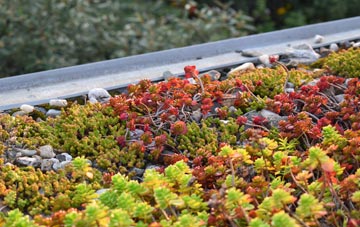 the cost of Douglas And Angus green roof installation