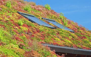 Douglas And Angus living roof systems