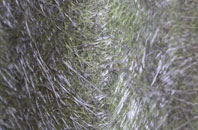 Douglas And Angus fibreglass roof work